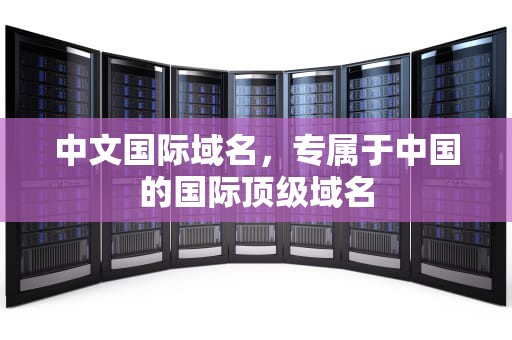 中文国际域名，专属于中国的国际顶级域名