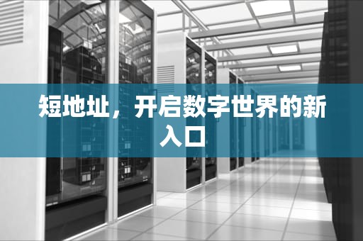 短地址，开启数字世界的新入口