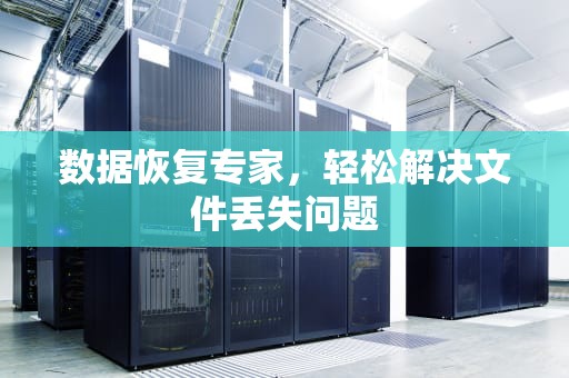 数据恢复专家，轻松解决文件丢失问题