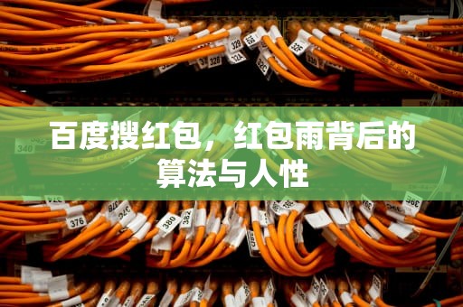 百度搜红包，红包雨背后的算法与人性