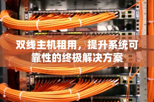 双线主机租用，提升系统可靠性的终极解决方案