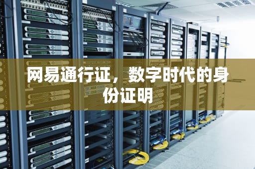 网易通行证，数字时代的身份证明