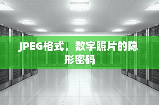 JPEG格式，数字照片的隐形密码