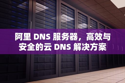阿里 DNS 服务器，高效与安全的云 DNS 解决方案