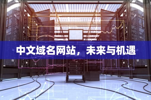 中文域名网站，未来与机遇