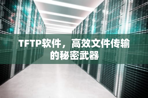 TFTP软件，高效文件传输的秘密武器