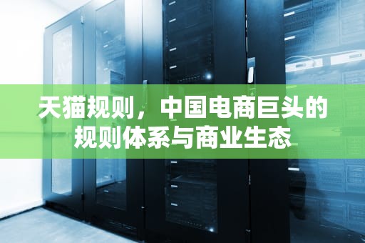 天猫规则，中国电商巨头的规则体系与商业生态