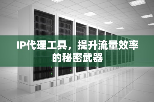 IP代理工具，提升流量效率的秘密武器