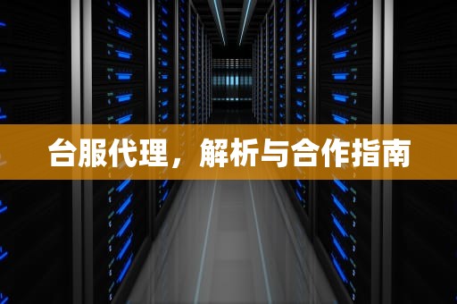台服代理，解析与合作指南