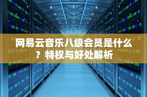 网易云音乐八级会员是什么？特权与好处解析