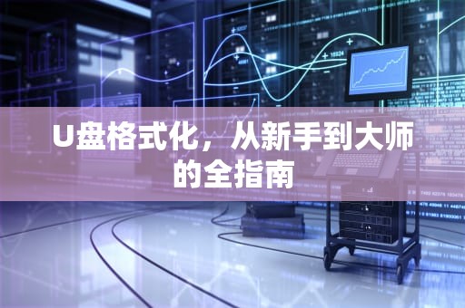 U盘格式化，从新手到大师的全指南