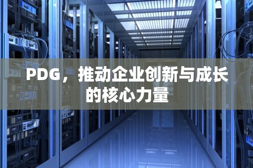 PDG，推动企业创新与成长的核心力量