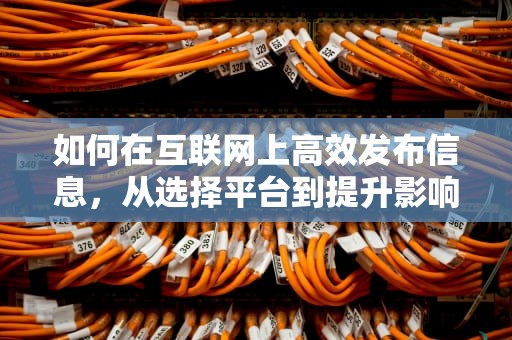 如何在互联网上高效发布信息，从选择平台到提升影响力
