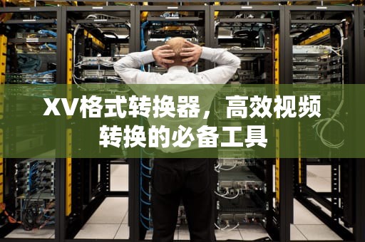 XV格式转换器，高效视频转换的必备工具