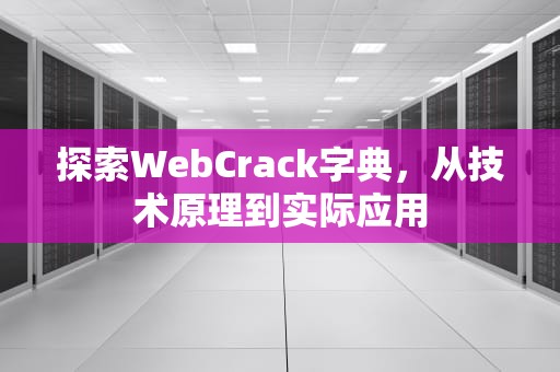 探索WebCrack字典，从技术原理到实际应用
