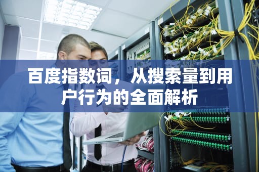百度指数词，从搜索量到用户行为的全面解析
