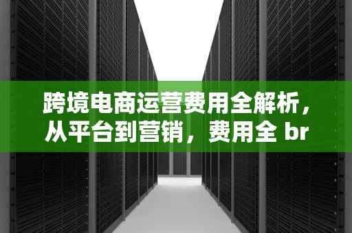 跨境电商运营费用全解析，从平台到营销，费用全 breakdown
