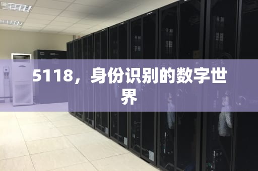 5118，身份识别的数字世界