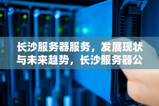 长沙服务器服务，发展现状与未来趋势，长沙服务器公司