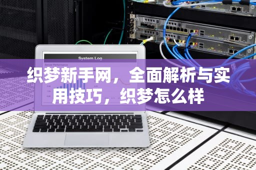 织梦新手网，全面解析与实用技巧，织梦怎么样