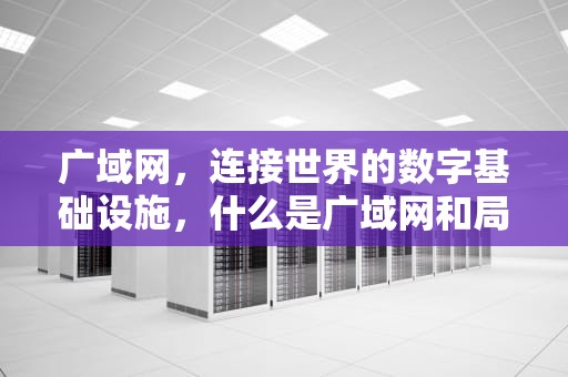 广域网，连接世界的数字基础设施，什么是广域网和局域网