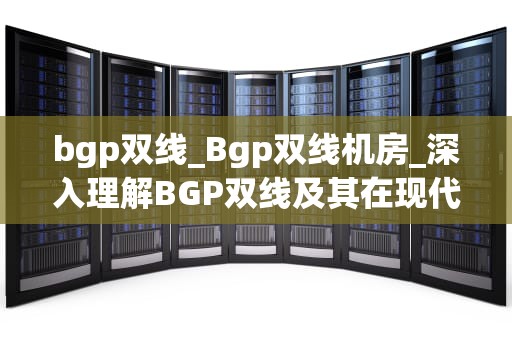 bgp双线_Bgp双线机房_深入理解BGP双线及其在现代网络架构中的应用