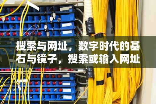 搜索与网址，数字时代的基石与镜子，搜索或输入网址大全