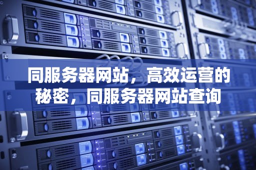 同服务器网站，高效运营的秘密，同服务器网站查询