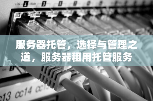 服务器托管，选择与管理之道，服务器租用托管服务