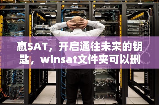 赢SAT，开启通往未来的钥匙，winsat文件夹可以删除吗