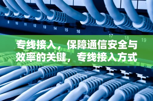 专线接入，保障通信安全与效率的关键，专线接入方式有哪几种