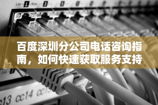 百度深圳分公司电话咨询指南，如何快速获取服务支持，百度深圳分公司电话号码