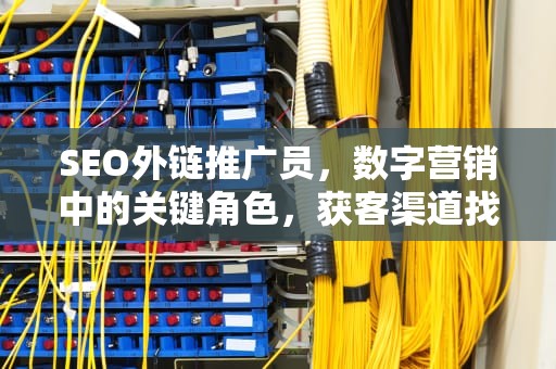SEO外链推广员，数字营销中的关键角色，获客渠道找精准客户