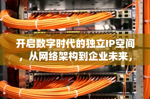 开启数字时代的独立IP空间，从网络架构到企业未来，独立ip的作用
