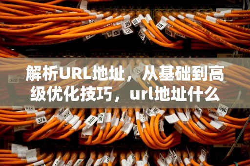 解析URL地址，从基础到高级优化技巧，url地址什么意思