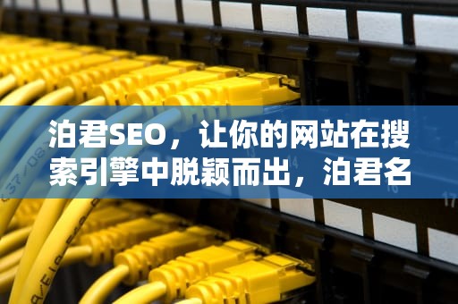 泊君SEO，让你的网站在搜索引擎中脱颖而出，泊君名字的意义