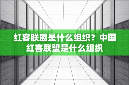 红客联盟是什么组织？中国红客联盟是什么组织