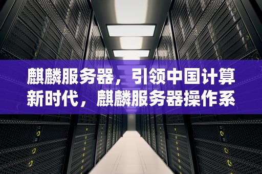 麒麟服务器，引领中国计算新时代，麒麟服务器操作系统V10