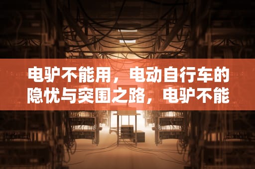 电驴不能用，电动自行车的隐忧与突围之路，电驴不能用了有什么替代的软件吗