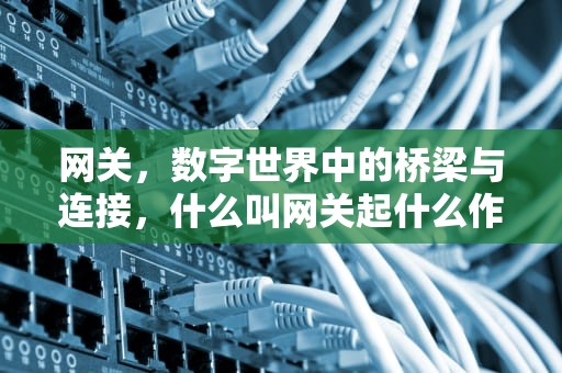 网关，数字世界中的桥梁与连接，什么叫网关起什么作用