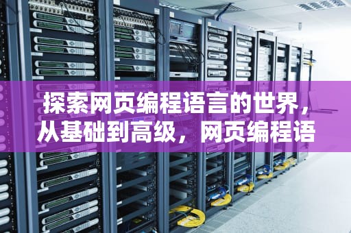 探索网页编程语言的世界，从基础到高级，网页编程语言有哪些
