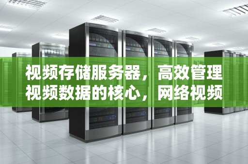 视频存储服务器，高效管理视频数据的核心，网络视频存储服务器