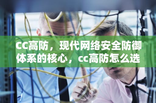 CC高防，现代网络安全防御体系的核心，cc高防怎么选