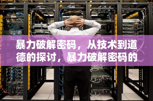 暴力破解密码，从技术到道德的探讨，暴力破解密码的工具