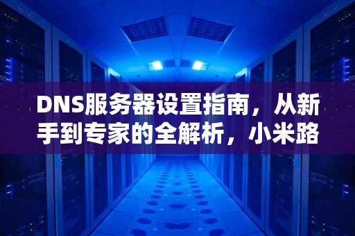 DNS服务器设置指南，从新手到专家的全解析，小米路由器DNS服务器设置错误