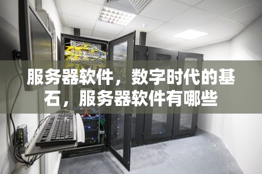 服务器软件，数字时代的基石，服务器软件有哪些