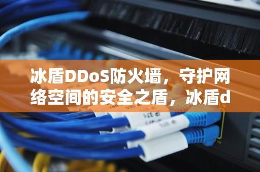 冰盾DDoS防火墙，守护网络空间的安全之盾，冰盾ddos防火墙破解版