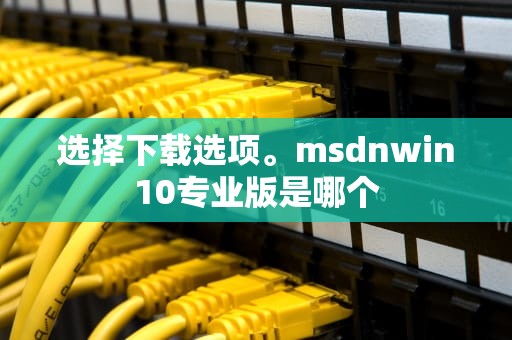 选择下载选项。msdnwin10专业版是哪个