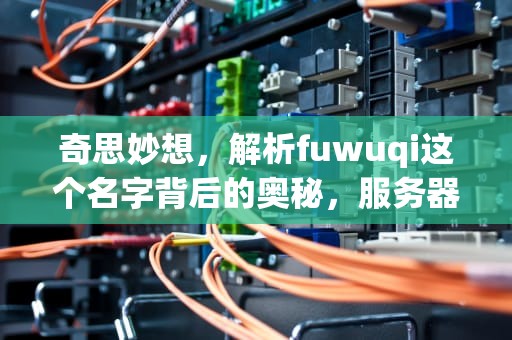 奇思妙想，解析fuwuqi这个名字背后的奥秘，服务器是什么