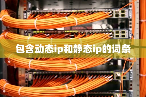 包含动态ip和静态ip的词条